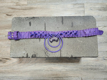 Purple People Eater